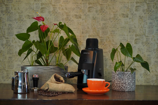 Single dose hopper + dosing cup for Baratza Encore ESP grinder